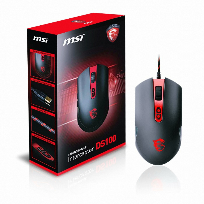 MSI DS100_이미지