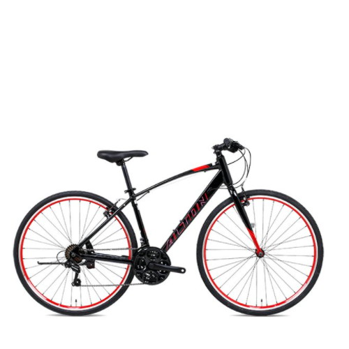 ���潺���� ž�� (2022����)