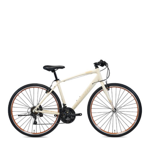 ���潺���� ž�� (2022����)