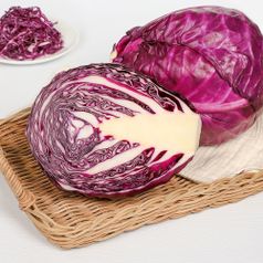 �ż��϶� �ƻ�ƻ� ������ ����� ������� 1�� 2�� 3��