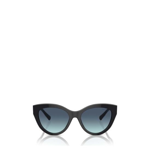 티파니앤코 선글라스 TF4220 80019S BLACK