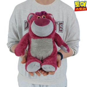 씨앤드에치 디즈니 토이스토리 캐릭터인형 (25cm)