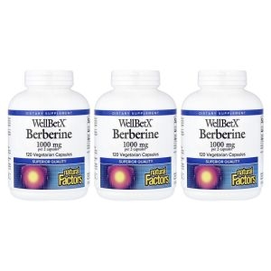 ���߷����ͽ� WellBetX �������� 120��