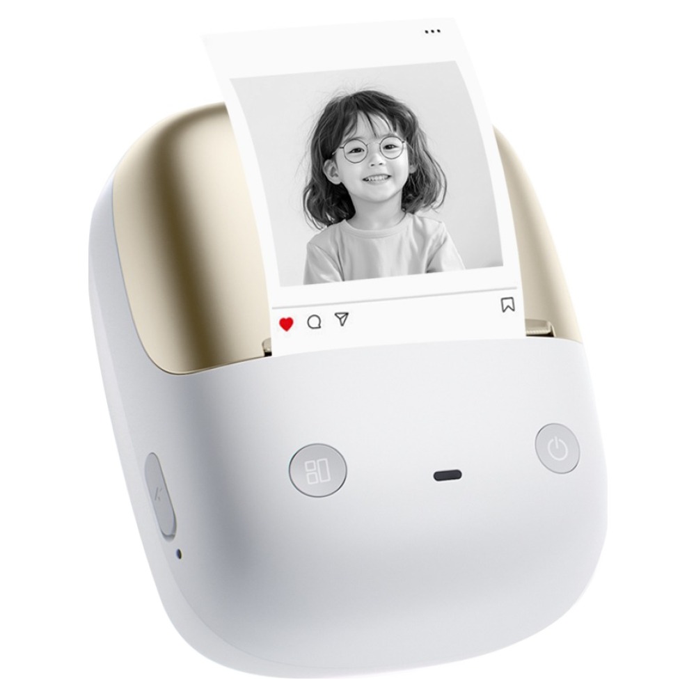 niimbot B2 PRO (정품)