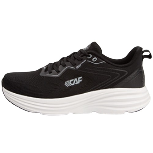 ������ ���� 1A25SR110