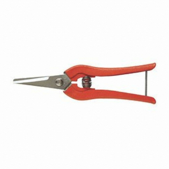 �ż� �������� SB-204 ��