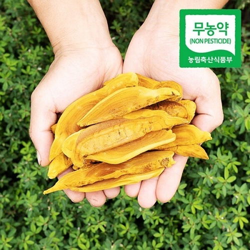 웰굿 무농약 장수 상황버섯 절편 100g (1개)_이미지