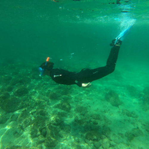 �Ե����س� �س�ü�� �̿�� (����)