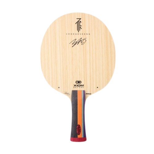 엑시옴 조대성 TMX 프로