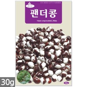 화분백화점 팬더콩30g