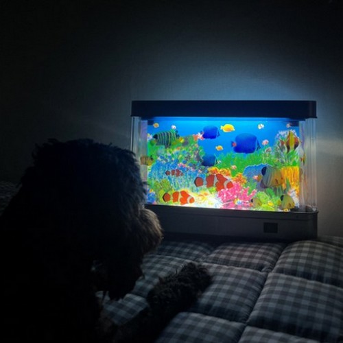 LED 신비한 바다 해양수족관 장식 램프_이미지