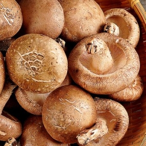지투지샵 무농약 생 표고버섯 하품 1kg (1개)_이미지