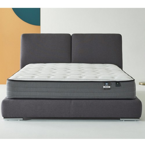 ���� ���÷� ħ�� CK