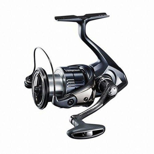 시마노 뱅퀴시 C3000, 2019년형 (국내배송)