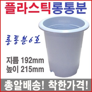롱통분6호 미니소품 소형 씨앗 블루베리 플라스틱화분이미지입니다. 누르면 해당 게시물로 새창이동합니다.
