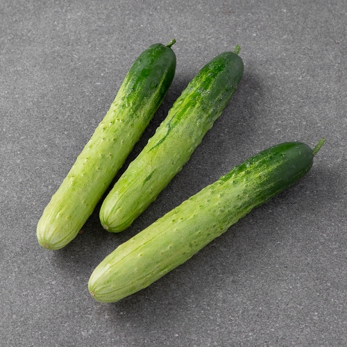 곰곰 국내산 백오이 5입 (1개)