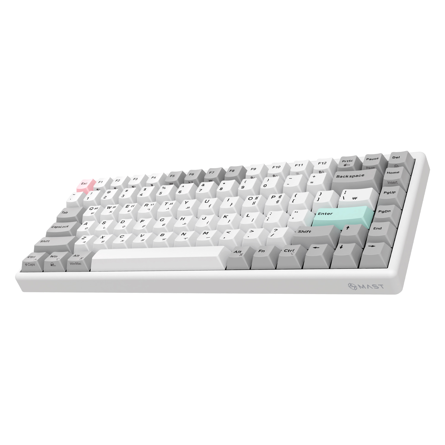 COX CNK84W LL �̴Ϲ迭 �������� ������ ������