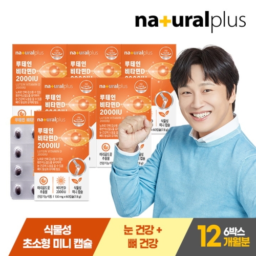 루테인 비타민D 2000IU 60캡슐 6박스 12개월분 / 눈건강 뼈건강 식물성초소형미니캡슐