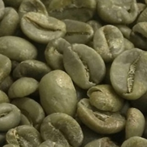 필더컵 과테말라 젠 안티구아 Acate SHB 생두 1kg (1개)_이미지