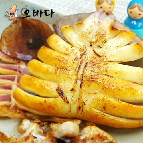 오바다 국내산 반건조 오징어 10미 소 800g내외