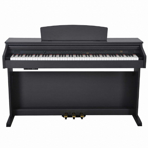 Virgin Musical Instruments �Ƹ��׽þ� ��DP-3 Plus