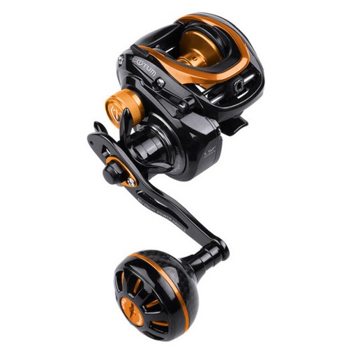 ���� ������ ������