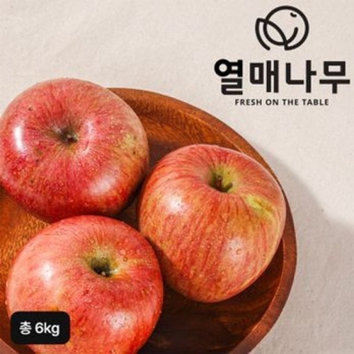 열매나무 거창 못난이 부사사과 3kg (2개)