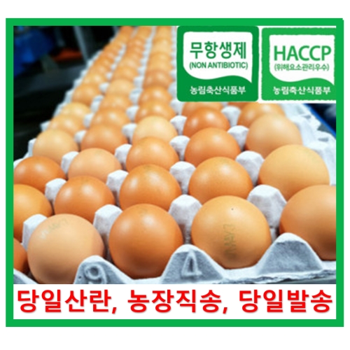 금포영농조합법인 알부자집 무항생제 계란 특란 30구 (1개)