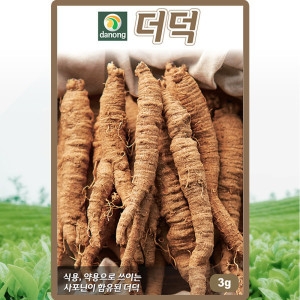 다농 더덕 <b>씨앗</b> 더덕 씨 토종 약초 종자 3g