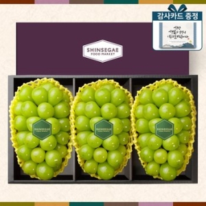 ��󸣶� ������Ÿ 1ȣ ���� ������Ʈ ���� 3�� 1.9kg