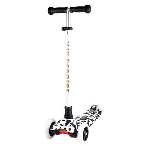 ���Ľ����� 21st ����� ����� Ż������