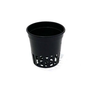 왁스콜렉션 풍란분 2호 플라스틱화분 수경재배 다육 화분 <b>모종</b>