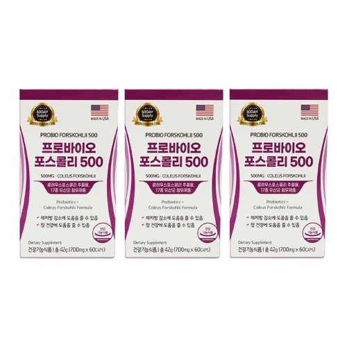 US PHARMATECH INC 아이앤유네트웍스 프로바이오 포스콜리 500 60캡슐 (3개)