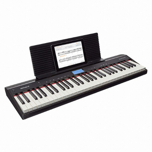 롤랜드 GO:PIANO GO-61P