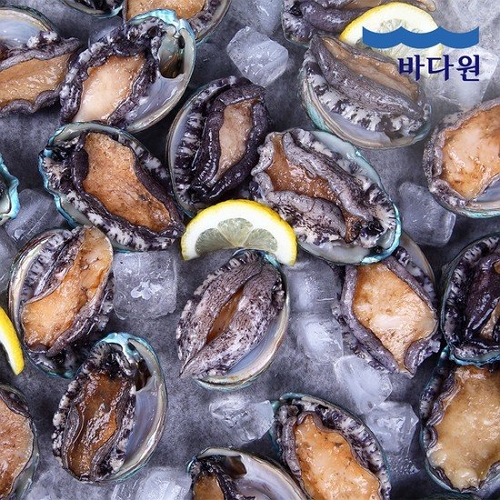 바다원 완도 활전복 11~12개(마리) 1kg (1개)_이미지