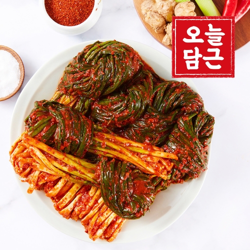 오늘담근 전라도 파김치 2kg (1개)_이미지