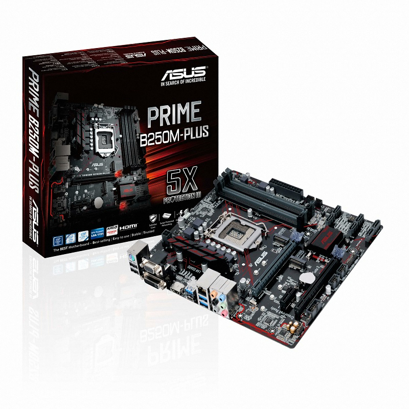 ASUS PRIME B250M-PLUS 인텍앤컴퍼니