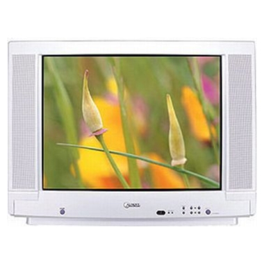 아남전자 CK-29P8EM