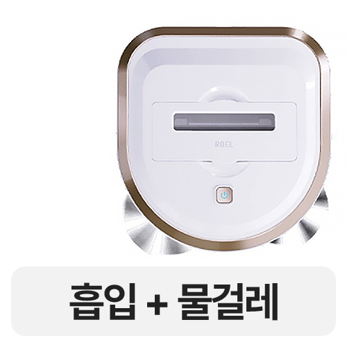 로엘 듀스핀 로봇