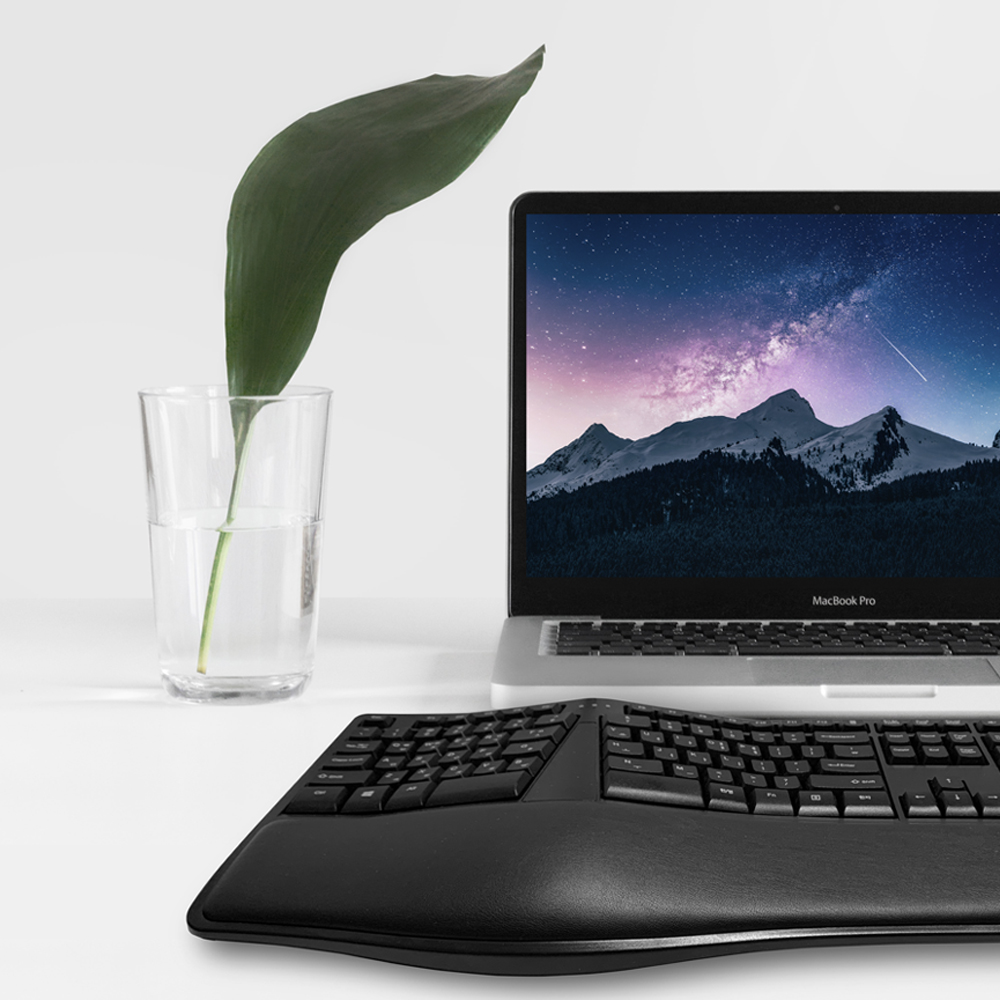 IPLEX ERK-2000 ��ü���� Ű����