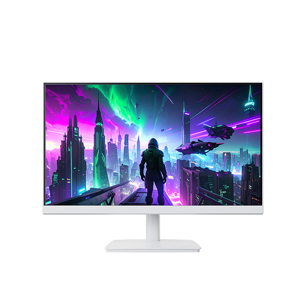 ���� �����ۺ� 24F165D IPS FHD 165 HDR ������