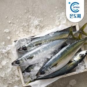 제주창해수산 제주 고등어 대 165g [12개]