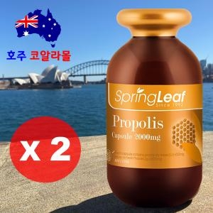 스프링리프 프로폴리스 2000mg 365캡슐