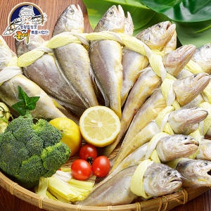 오양굴비 영광 법성포 보리굴비 선물세트 특2호 (1개)