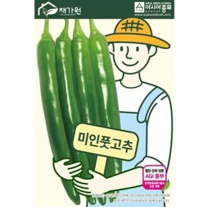 고추씨앗종자 미인풋고추 100립