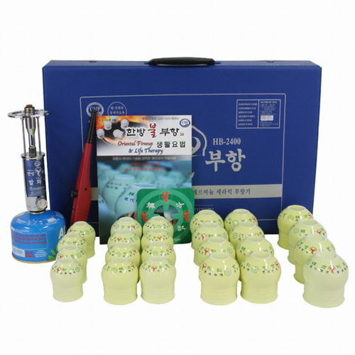 현대한방의료기기 한방불부항 HB-2400 24컵
