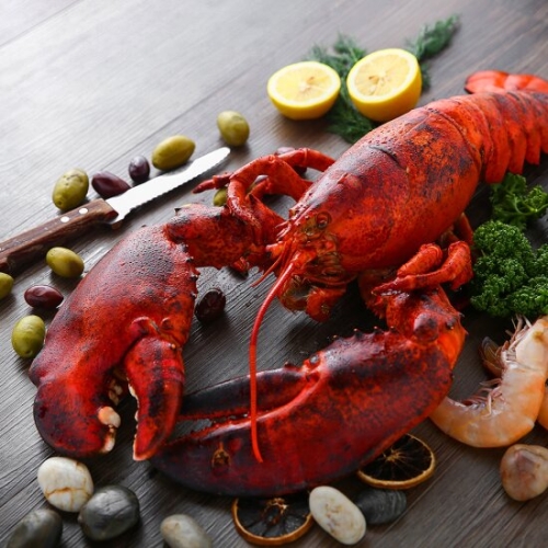 (주)바이킹마켓 잠보 자숙 랍스터 900~1200g (3개)