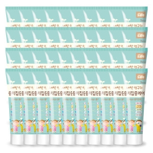 CJ라이온 키즈세이프 충치집중케어 치약 60g (40개)