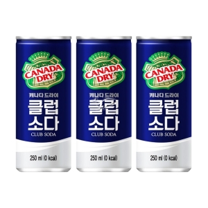 코카콜라음료 캐나다 드라이 클럽소다 250ml (10개)_이미지