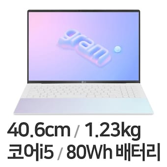 LG전자 <b>그램</b> <b>스타일</b><b>16</b> <b>16</b>ZD90RS-GX56K WIN11